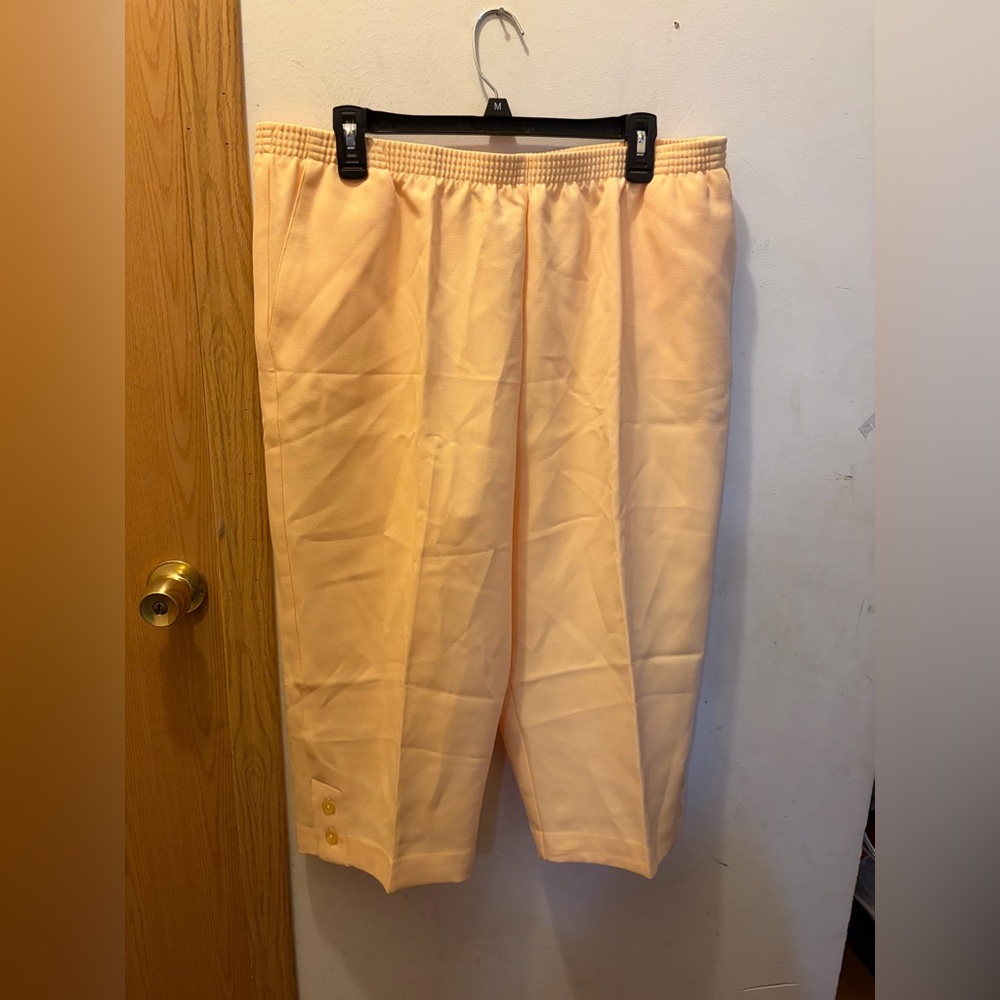 (18P) Alfred dunner dress pants